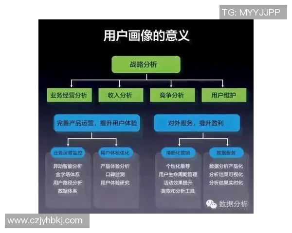 王者荣耀战术分析WE包夹策略的深度解读与应用探讨